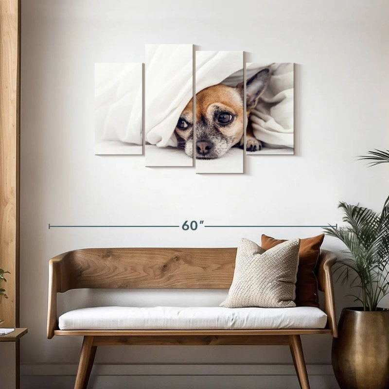 Brampt Despondent Chihuahua Dog