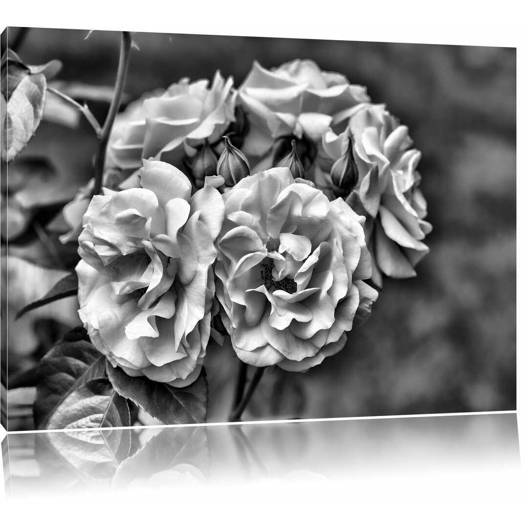 Leinwandbild Weiß gelbe Rose Blumen in Monochrom