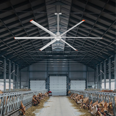 Ventilateur de plafond à moteur à courant continu de 144 pouces en alliage d'aluminium, grand ventilateur de plafond HVLS avec pales réversibles, télécommande à 6 vitesses, ventilateurs de plafond résidentiels ou commerciaux pour porche / garage / magasin