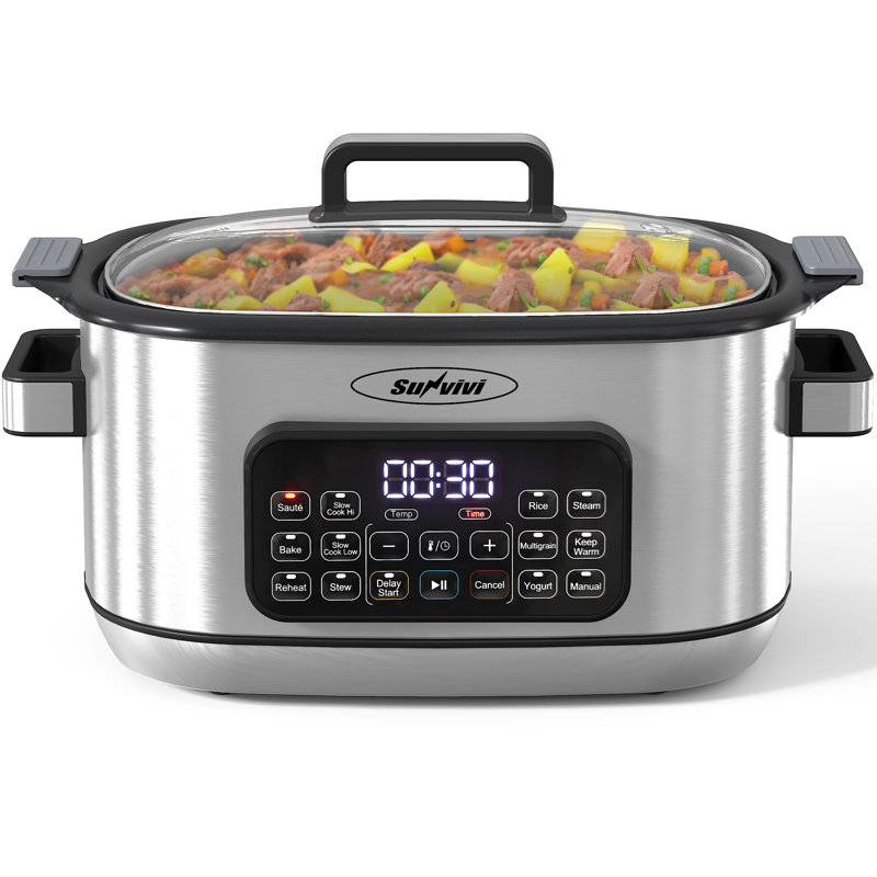 6.5QT 12-In-1 Programmable Multi Slow Cooker, Silver