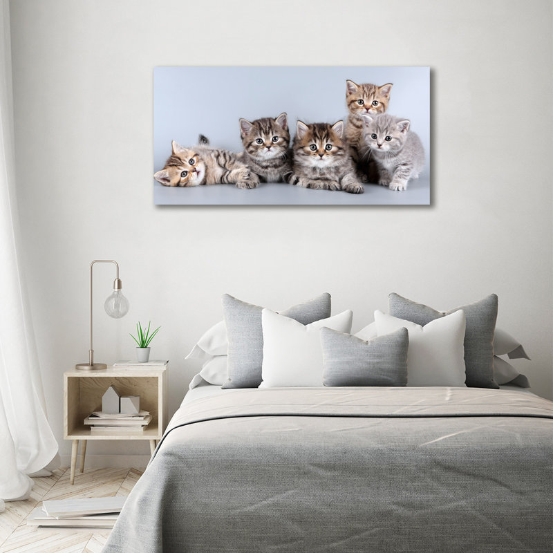 Five Cats - No Frame Print on Canvas, 70cm H x 140cm W