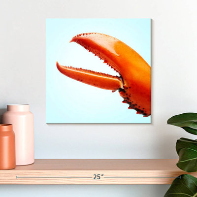 Brampt Red Lobster Claw
