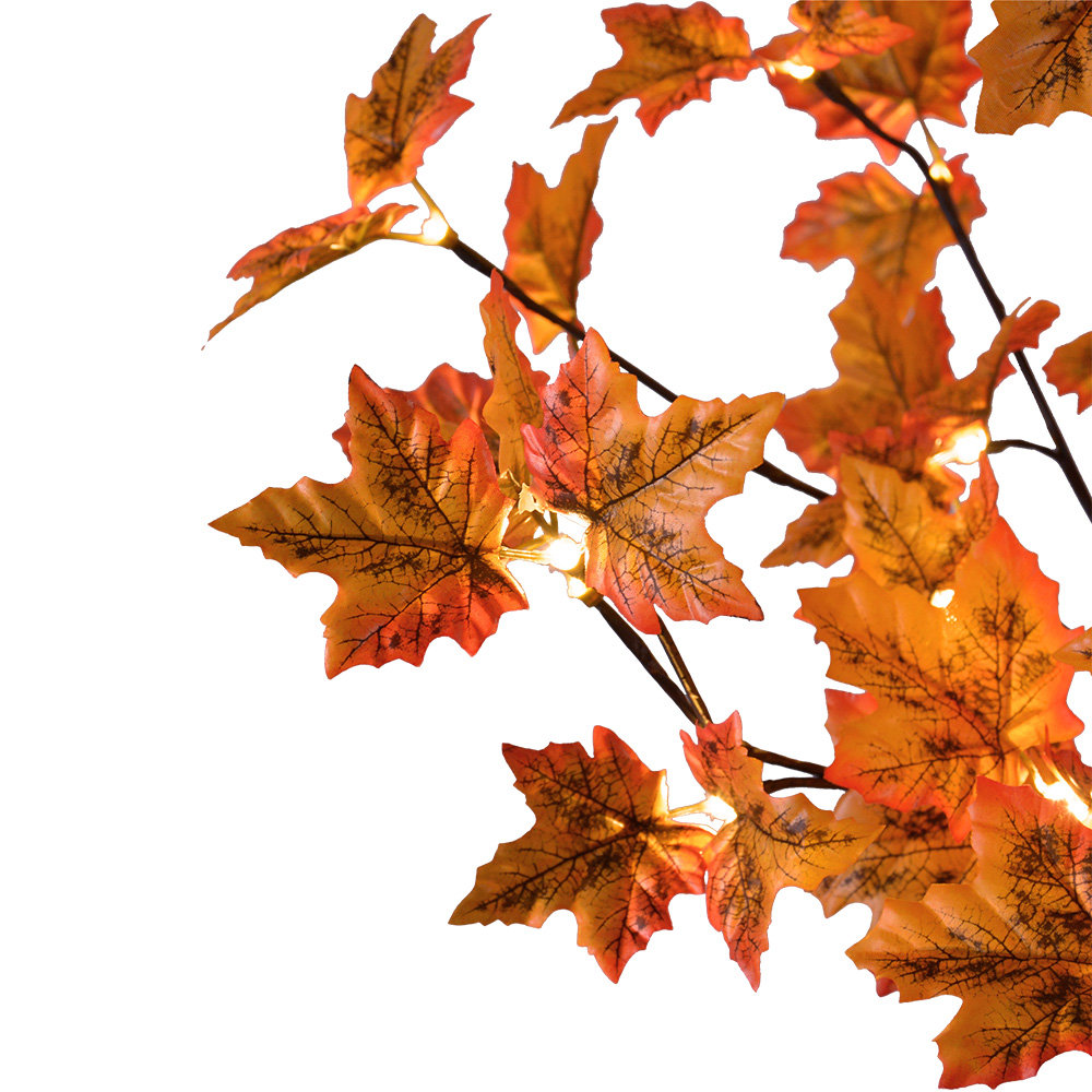 66'' Lighted Trees & Branches The Holiday Aisle®