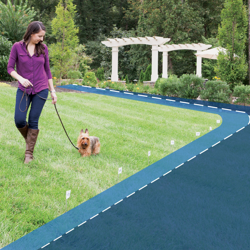 In-Ground Dog Collar