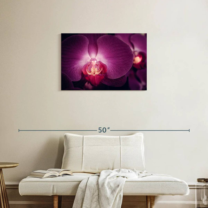 Harnek Purple Moth Orchid, 20" H x 30" W