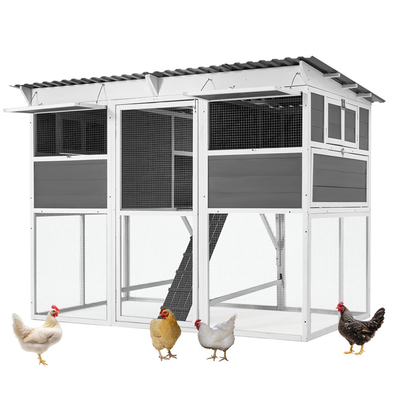 Cage extérieure pour animal de compagnie