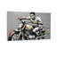 Impression sur toile Fashion Rider-1709883094