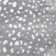 Buchannan Animal Print Hand-Knotted Area Rug in Gray