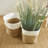Madura 2 Pieces Rectangular Baskets Set