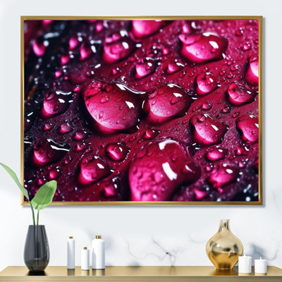 " Red Rose With Raindrops On Black V "