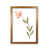 Honey Oak Frame selected