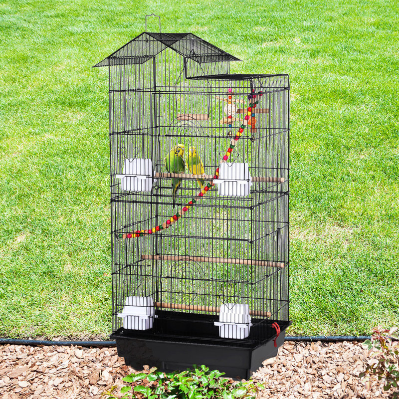 Iron Pointed Top Floor Bird Cage with Perch, Black