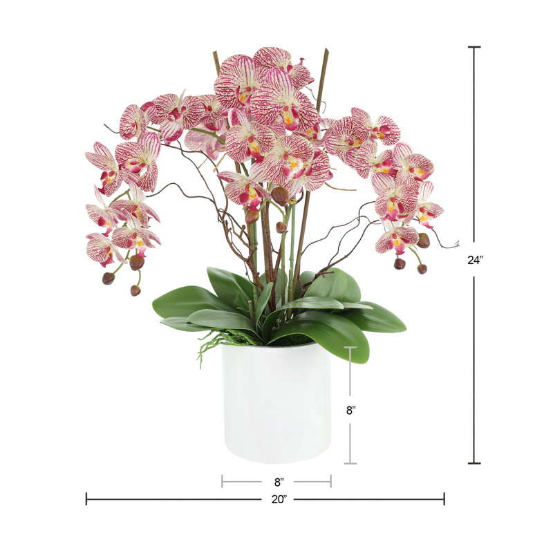 Orchids Arranged in Fiberstone Planter, Pink