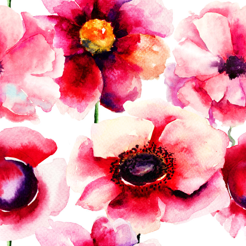 Poppy Flowers - Wrapped Canvas Painting, 30cm H x 30cm W x 3.8cm D