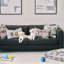 Housse et coussins décoratifs pour animaux en polyester