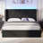 Upholstered LED Bed Frame with Storage Drawers and Wingback Headboard-66379557-66379554