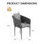 Ensemble de 2 chaises d'extérieur modernes en osier noir