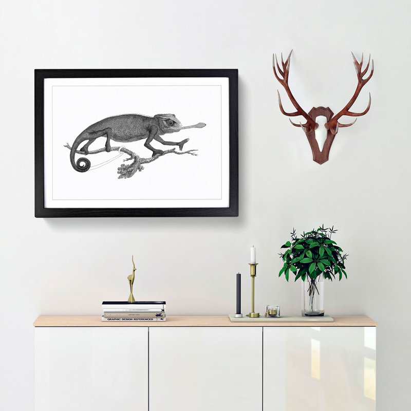 Chameleon in Black & White by George Shaw - Picture Frame Painting Print, 36cm H x 48cm W x 2cm D, Black Framed