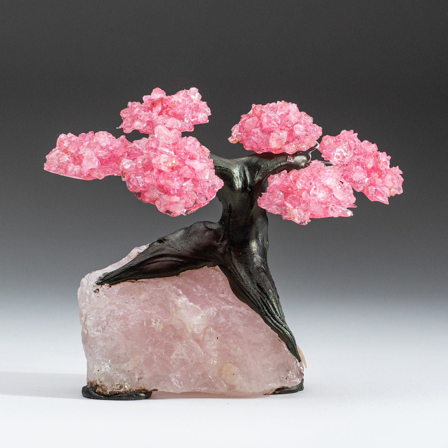 Small Genuine Rose Quartz Clustered Gemstone Tree on Rose Quartz Matrix The Love Tree