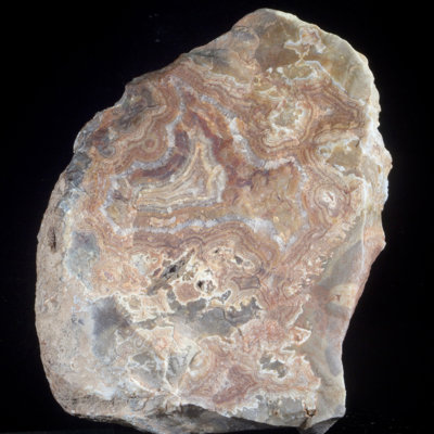 Agate - Mine d'agate à tête sèche, Montana, États-Unis