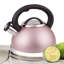 Creative Home Alexa 3 pintes Bouilloire pour cuisinière en acier inoxydable-35980599
