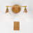 Emilye Brass Dimmable Armed Sconce