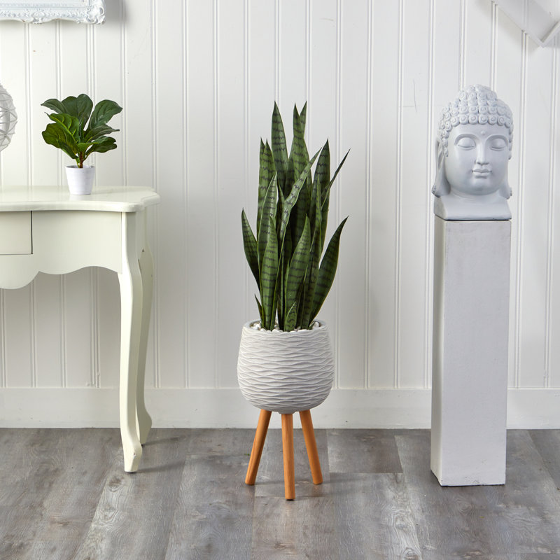 Jardinière Sansevieria, H 46 po x l 13 po x P 13 po, Vert