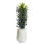 Tall Agave Sisalana in White Artemis Planter
