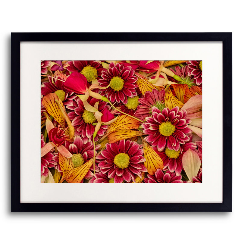 Study In Petals Print by Harold Davis, Black Framed Paper, 16" H x 20" W