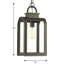 Lanterne suspendue d'extérieur en bronze huilé 1 lumière Edwon