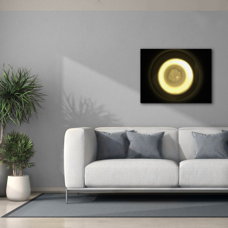  Art mural en toile, «Martian Regolite» par la NASA, 34 po x 26 po, H 26 po x l 34 po