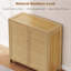 Shoe Storage Cabinet-1108231481