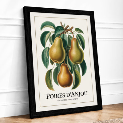 Poires D'Anjou Botanical - Print