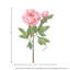 Pivoine de jardin 26 po Just Cut-1830107859-1830510411