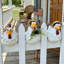 Drôles de statues de poulets de ferme-1454612607-1454612604