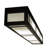 Almont Glass Flush Mount