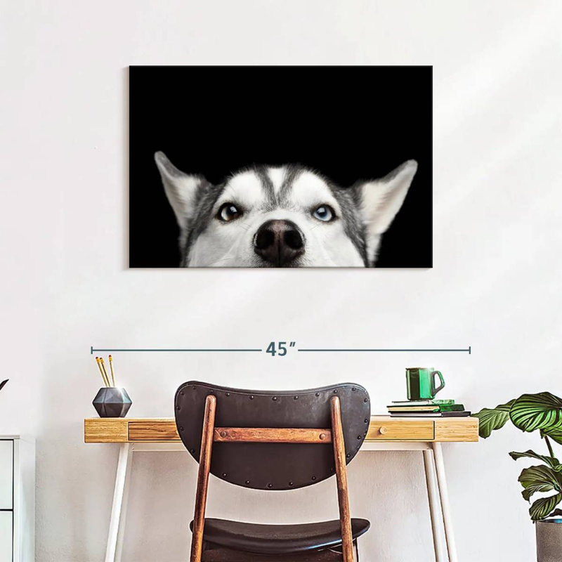 Peeking Siberian Husky, 24" H x 36" W