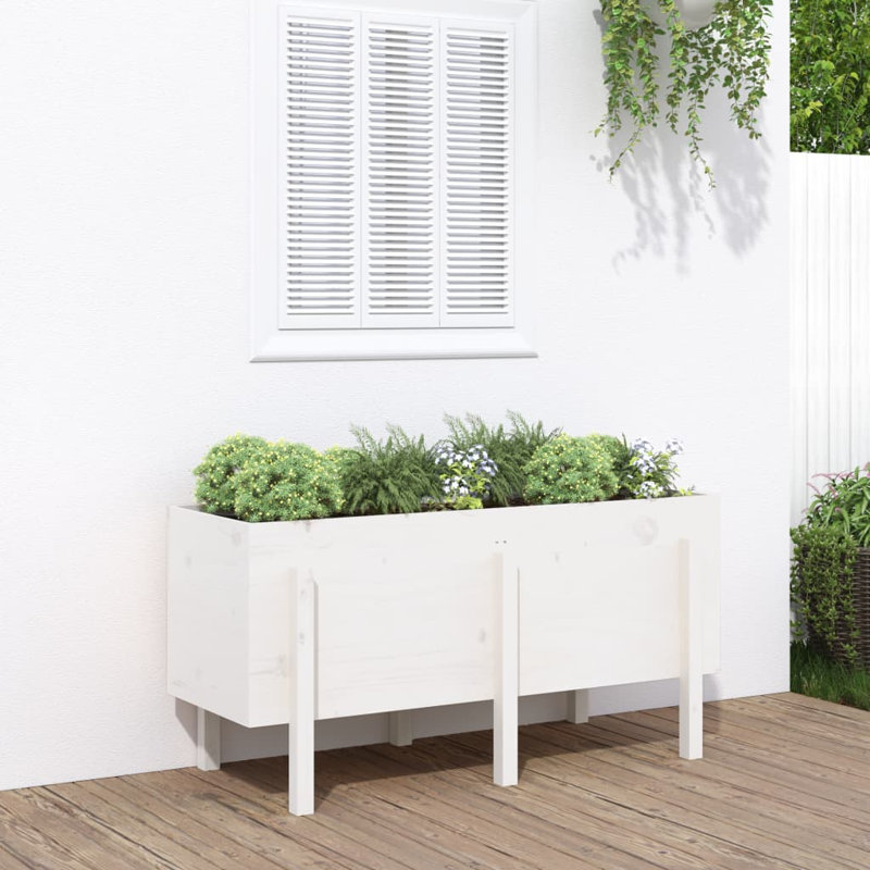 Meenakshi Wood Raised Garden Bed, Pine, White, 57cm H x 121cm W x 50cm D
