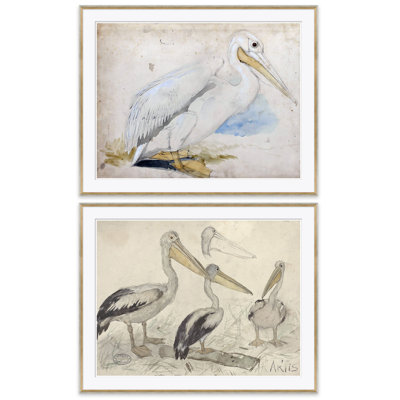 Sea Birds - 2 Piece Single Picture Frame Giclee Print