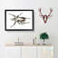 Goliath Beetle by George Shaw - Picture Frame Painting Print-55620855-55620853