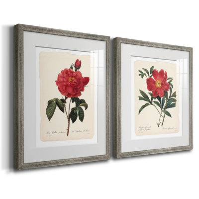 Red Botanical III - reproduction encadrée de qualité supérieure - prête à être accrochée