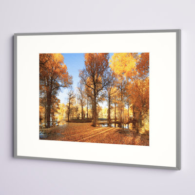 Abraham Metal Picture Frame with Mat