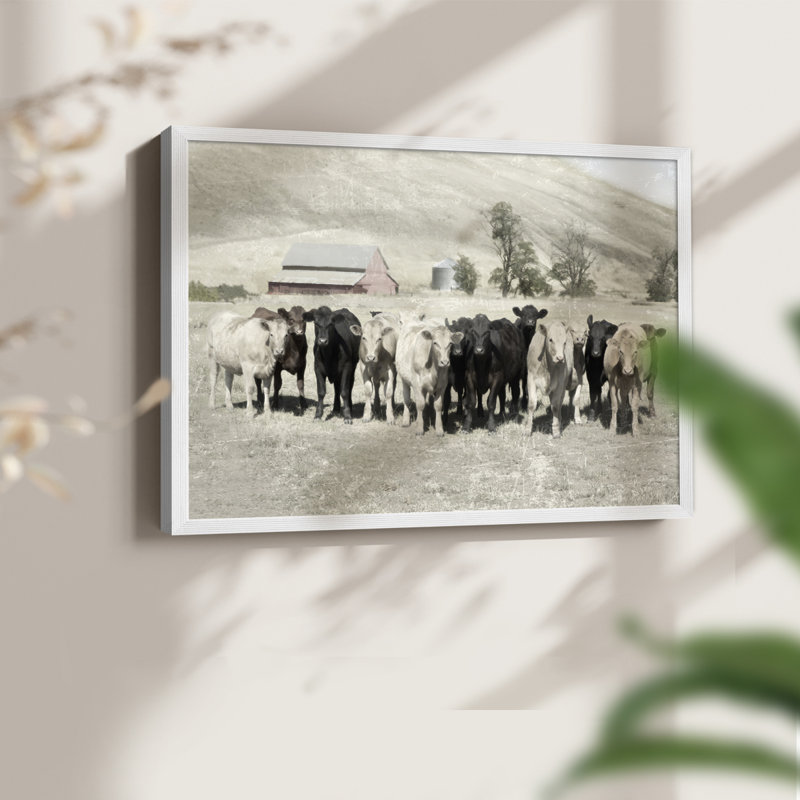 Cattle Ranch -Framed Print - Restickable