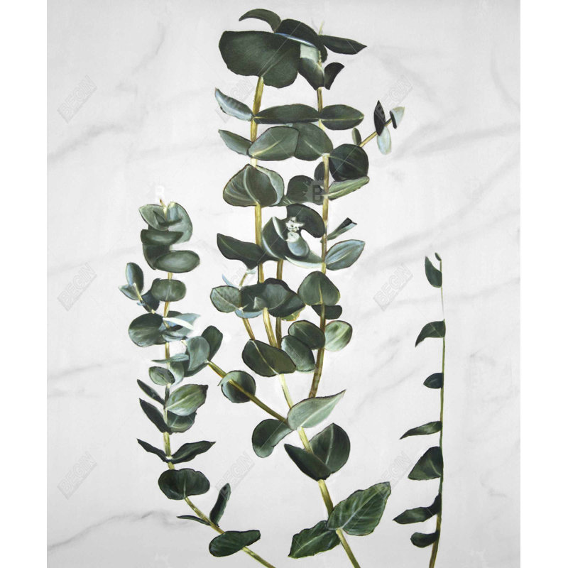 Tiges d'eucalyptus encadrées, art floral
