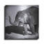 Latitude Run® «Elephant IV» par Debra Van Swearingen, art mural en métal-403674622
