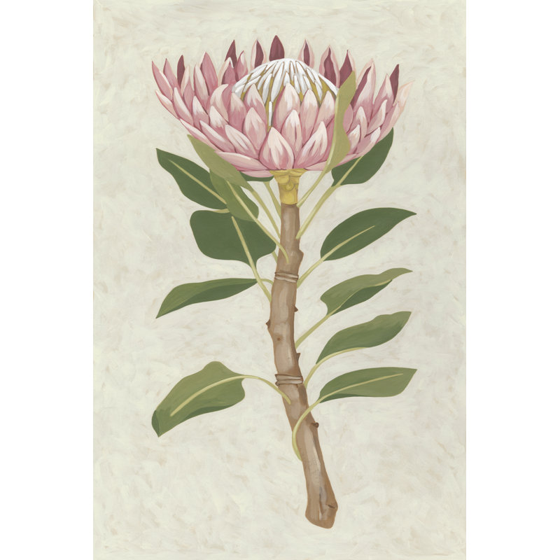 Non-Embellished Protea II by Chariklia Zarris - Wrapped Canvas Painting, 46cm H x 30cm W