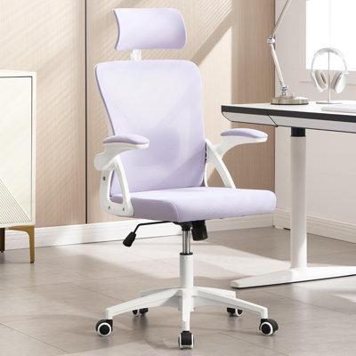 Ergonomic Office Chair,Ergonomic Desk Chair With Adjustable Lumbar Support,400 Lbs Mesh Computer Chair High Back With Adjustable Headrest For Office by Inbox Zero