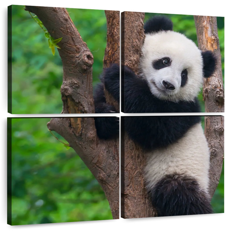 Bramble adorable panda, H 18 po x l 18 po