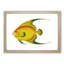 Golden Butterflyfish by George Shaw - Framed Print-55620884-55620885