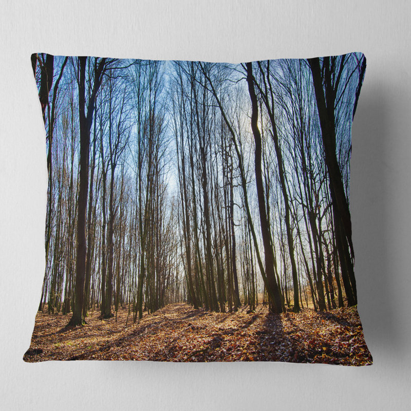 Arbres foncés dans la forêt au lever du soleil - oreiller imprimé forêt, 16 po x 1 po, Coussin décoratif